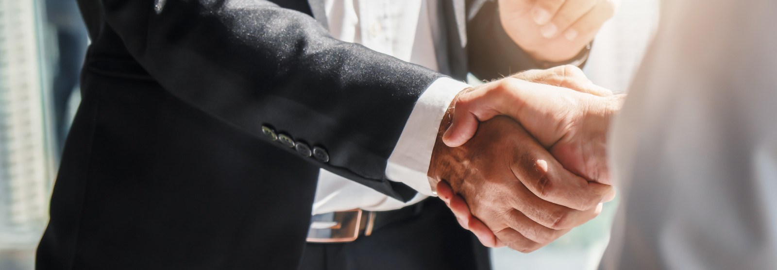 two men engaged in a handshake