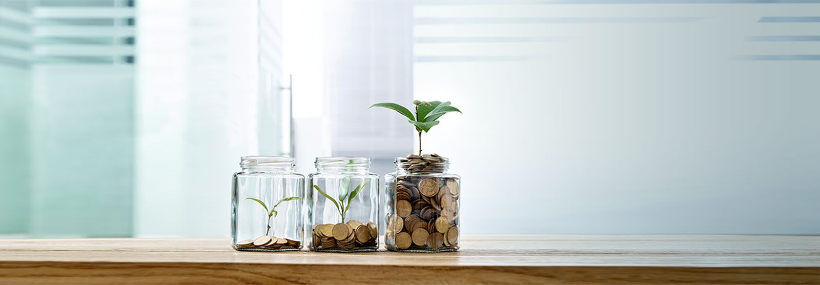 jars lined up with small amount of coins with small plant to full of coins and larger plant. Grow your money.